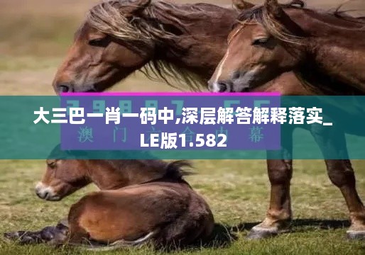 大三巴一肖一码中,深层解答解释落实_LE版1.582