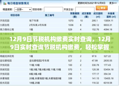 12月9日节税机构缴费实时查询，轻松掌握税务动态
