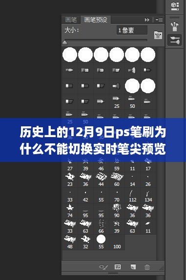 揭秘十二月九日PS笔刷笔尖预览障碍，小巷特色小店的神秘故事与笔刷之谜探秘
