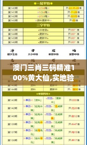 澳门三肖三码精准100%黄大仙,实地验证数据设计_运动版2.294