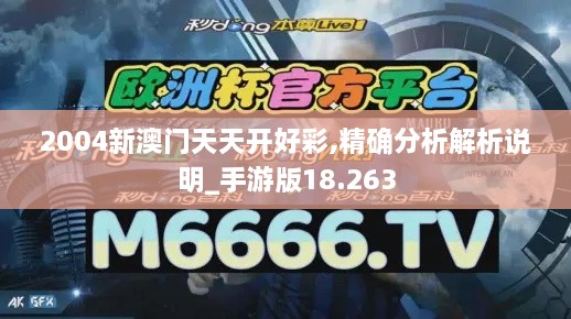 2004新澳门天天开好彩,精确分析解析说明_手游版18.263