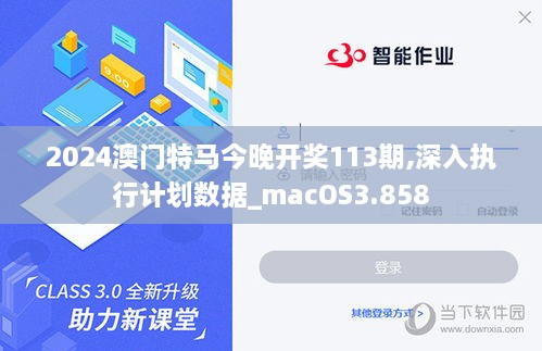 2024澳门特马今晚开奖113期,深入执行计划数据_macOS3.858