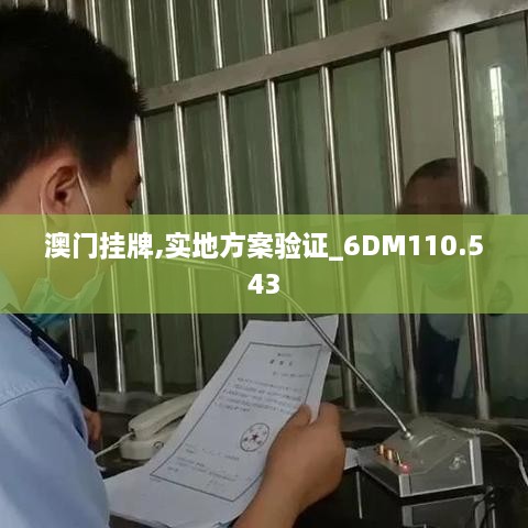 澳门挂牌,实地方案验证_6DM110.543