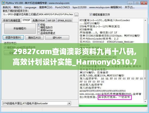 29827cσm查询澳彩资料九肖十八码,高效计划设计实施_HarmonyOS10.734