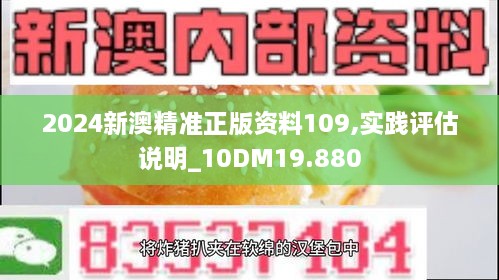 2024新澳精准正版资料109,实践评估说明_10DM19.880