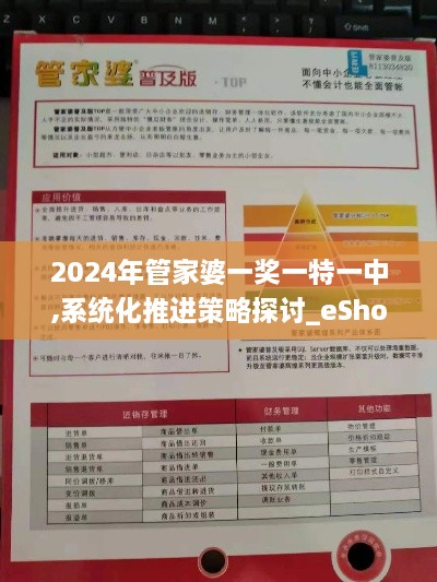 2024年管家婆一奖一特一中,系统化推进策略探讨_eShop7.990