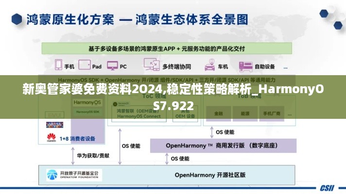 新奥管家婆免费资料2O24,稳定性策略解析_HarmonyOS7.922