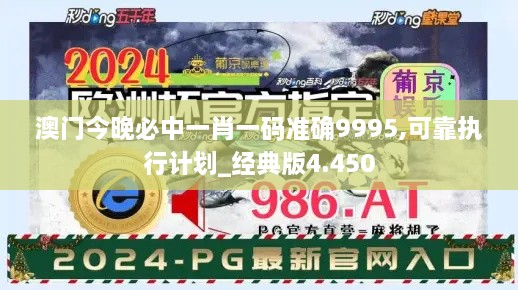 澳门今晚必中一肖一码准确9995,可靠执行计划_经典版4.450