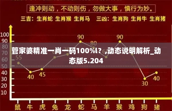 管家婆精准一肖一码100%l？,动态说明解析_动态版5.204