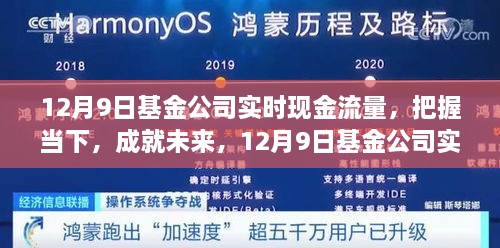 12月9日基金公司实时现金流量分析与启示，把握当下，预见未来