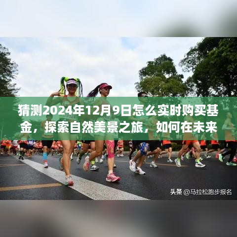 探索自然美景之旅与实时购买基金指南，如何在未来的日子里轻松购买基金，寻找内心的宁静与平和