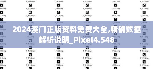 2024溪门正版资料免费大全,精确数据解析说明_Pixel4.548