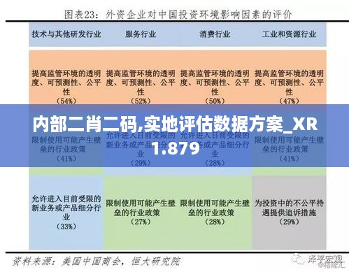 内部二肖二码,实地评估数据方案_XR1.879