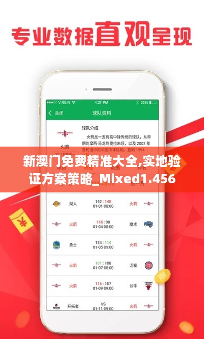 新澳门免费精准大全,实地验证方案策略_Mixed1.456