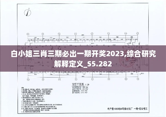 白小姐三肖三期必出一期开奖2023,综合研究解释定义_S5.282