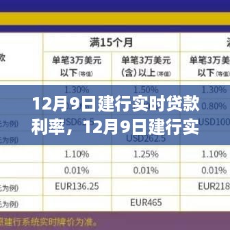 2024年12月10日 第41页