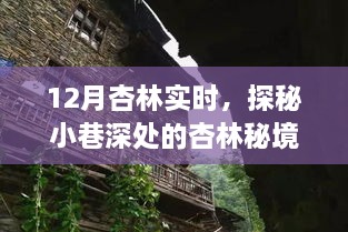 探秘杏林秘境，十二月小巷深处的隐藏式特色小店奇妙之旅