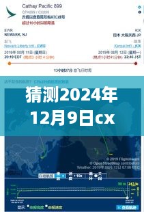 独家解析，预测CX663航班在2024年12月9日的实时动态及潜在影响