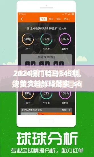 2024澳门特马345期,决策资料解释落实_soft2.944