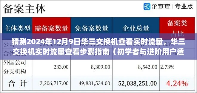 华三交换机实时流量查看指南，适用于初学者与进阶用户的步骤教程（预测2024年12月9日更新）