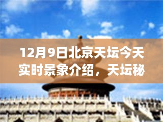 12月9日北京天坛探秘之旅，秘境中的实时景象，寻找心灵宁静与平和