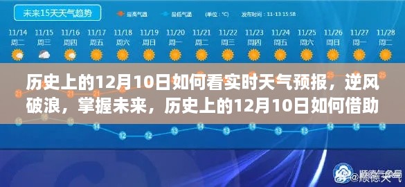 历史上的12月10日，如何利用实时天气预报逆风破浪，展翅翱翔