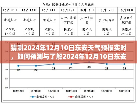 详细步骤指南，预测与了解东安县天气预报实时情况（以预测东安县2024年12月10日天气为例）