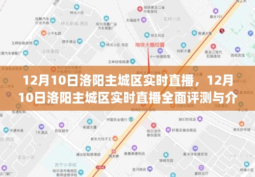 12月10日洛阳主城区实时直播，全面评测与详细介绍