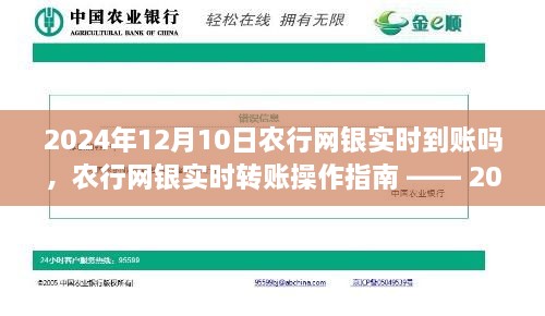 农行网银实时转账操作指南，2024年12月10日版转账实时到账问题及操作指引