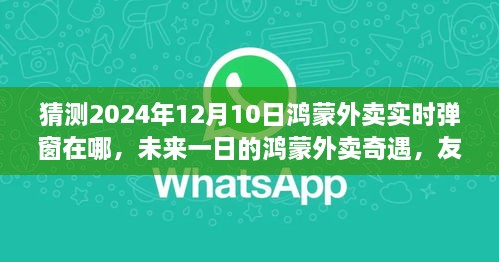 2024年12月10日 第5页