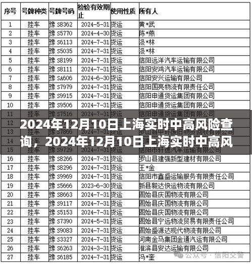 深度解析，上海实时中高风险地区查询背景、事件与影响——2024年12月10日