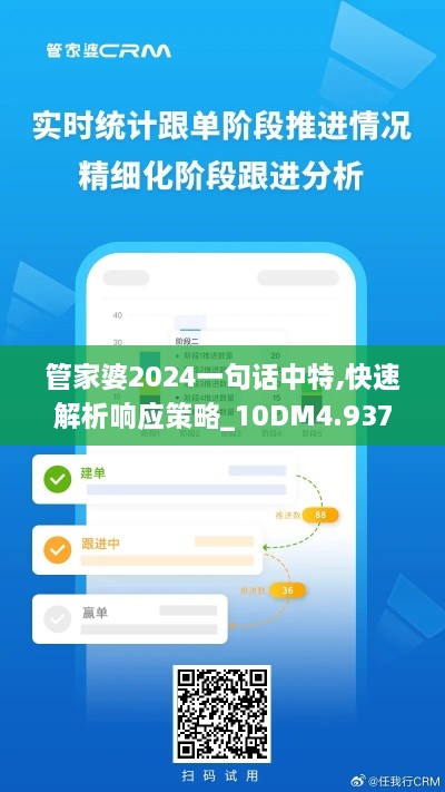 管家婆2024一句话中特,快速解析响应策略_10DM4.937