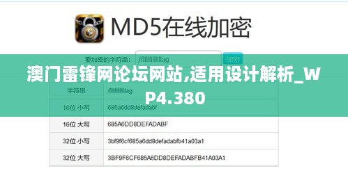 澳门雷锋网论坛网站,适用设计解析_WP4.380