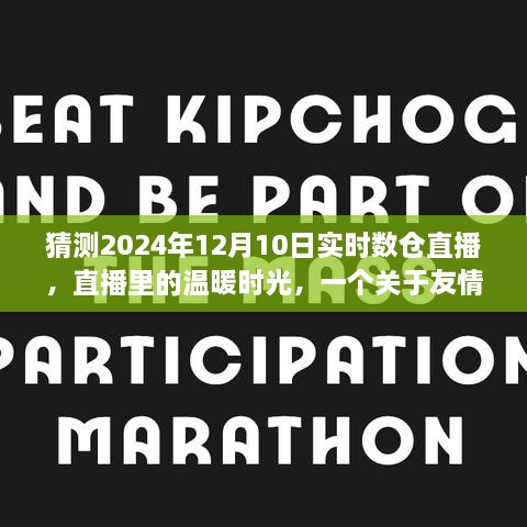 直播中的温暖时光，友情、梦想与陪伴的温馨故事（2024年12月10日实时数仓直播）