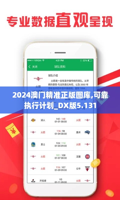 2024澳门精准正版图库,可靠执行计划_DX版5.131