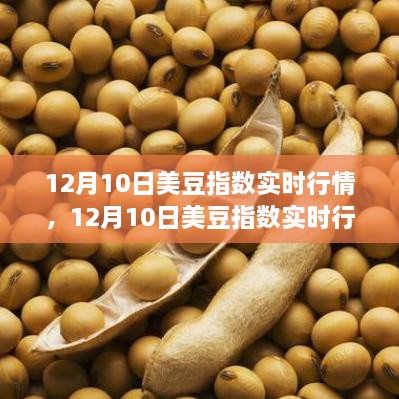 12月10日美豆指数实时行情深度解析与评测