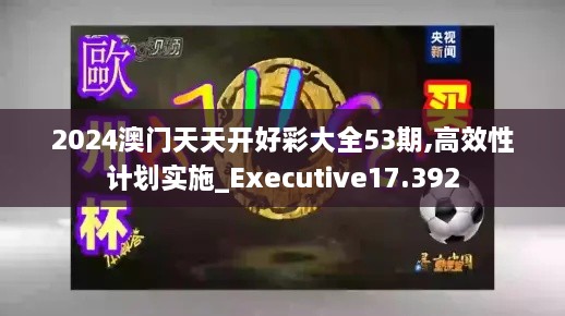 2024澳门天天开好彩大全53期,高效性计划实施_Executive17.392