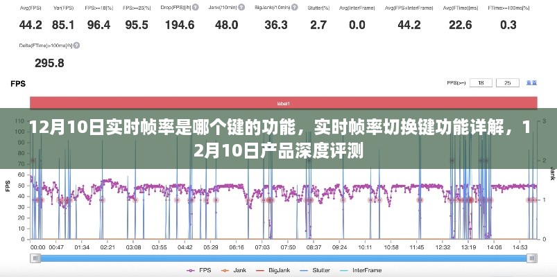 2024年12月11日 第73页