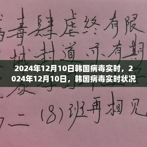 韩国病毒实时状况深度解析，2024年12月10日最新数据报告