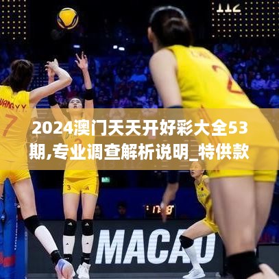 2024澳门天天开好彩大全53期,专业调查解析说明_特供款4.413