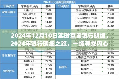 银行明细之旅，探寻绿色冒险的平静之路（实时查询银行明细，2024年）