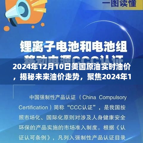 揭秘未来油价走势，聚焦美国原油实时油价分析（2024年12月10日）