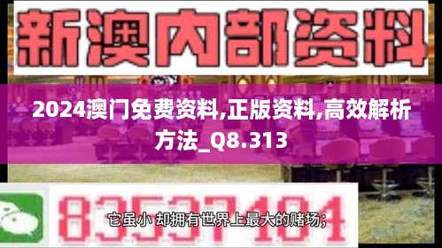 2024澳门免费资料,正版资料,高效解析方法_Q8.313