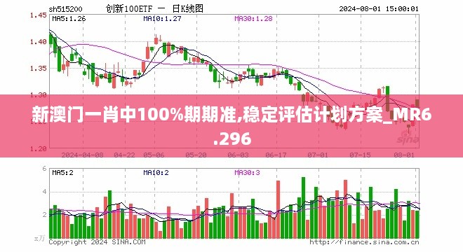 新澳门一肖中100%期期准,稳定评估计划方案_MR6.296