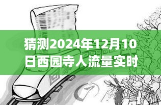 2024年12月10日西园寺客流量实时预测与体验评测