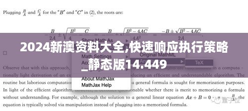 2024新澳资料大全,快速响应执行策略_静态版14.449