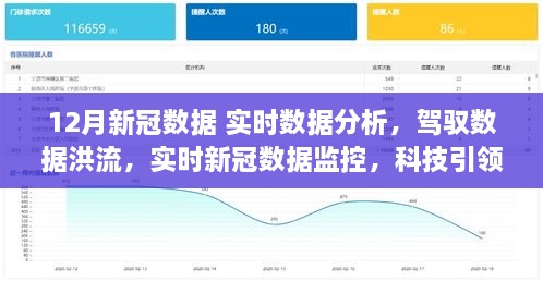 实时数据分析揭示，驾驭数据洪流，科技引领抗疫新时代——聚焦12月新冠数据监控报告