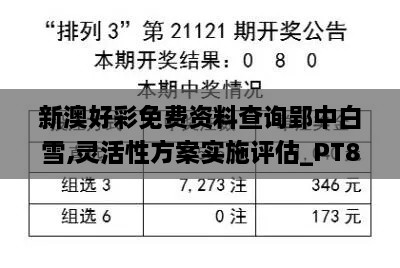 新澳好彩免费资料查询郢中白雪,灵活性方案实施评估_PT8.786