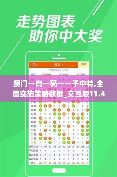 澳门一肖一码一一子中特,全面实施策略数据_交互版11.469