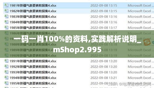 一码一肖100%的资料,实践解析说明_mShop2.995